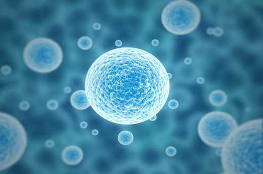 肇庆试管婴儿私立医院正规吗,附医院详细资料清单